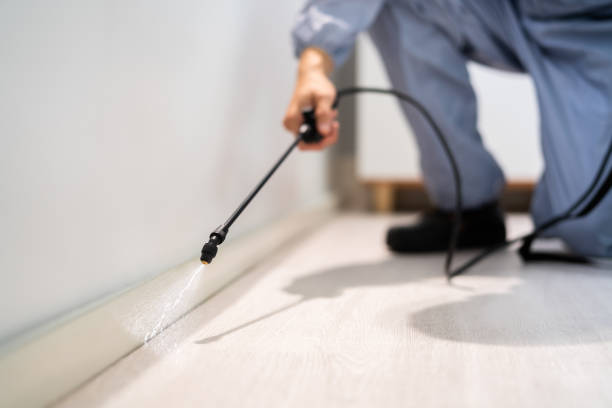 Licensed Wasp Removal service in Evart, MI - Show Me Pest Control