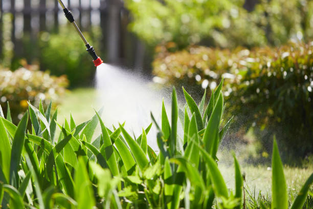 24/7 Emergency Wasp Removal experts in Evart, MI