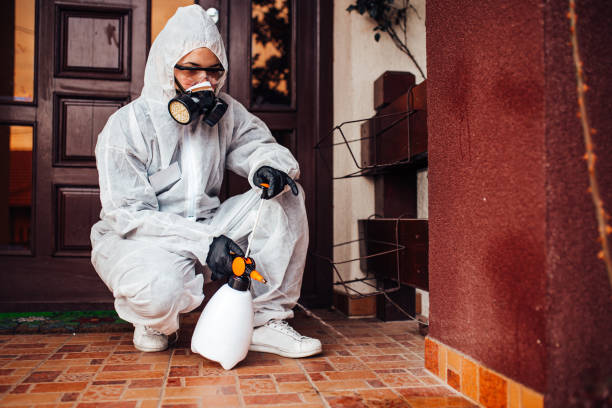 Reliable Wasp Removal contractor in Evart, MI by Show Me Pest Control